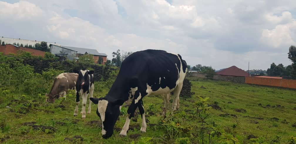 WhatsApp Image 2025-11-21 at 5.04.54 AM